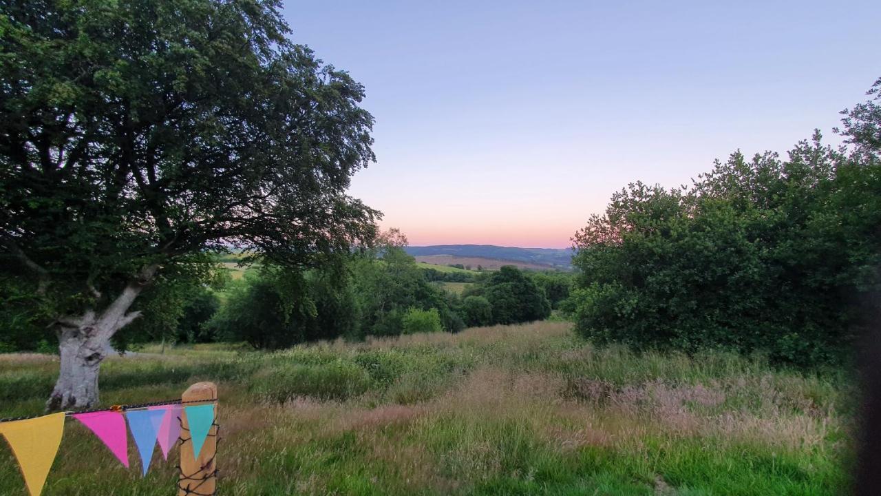 Calon Y Goedwig Glamping Hotel Ландоувъри Екстериор снимка