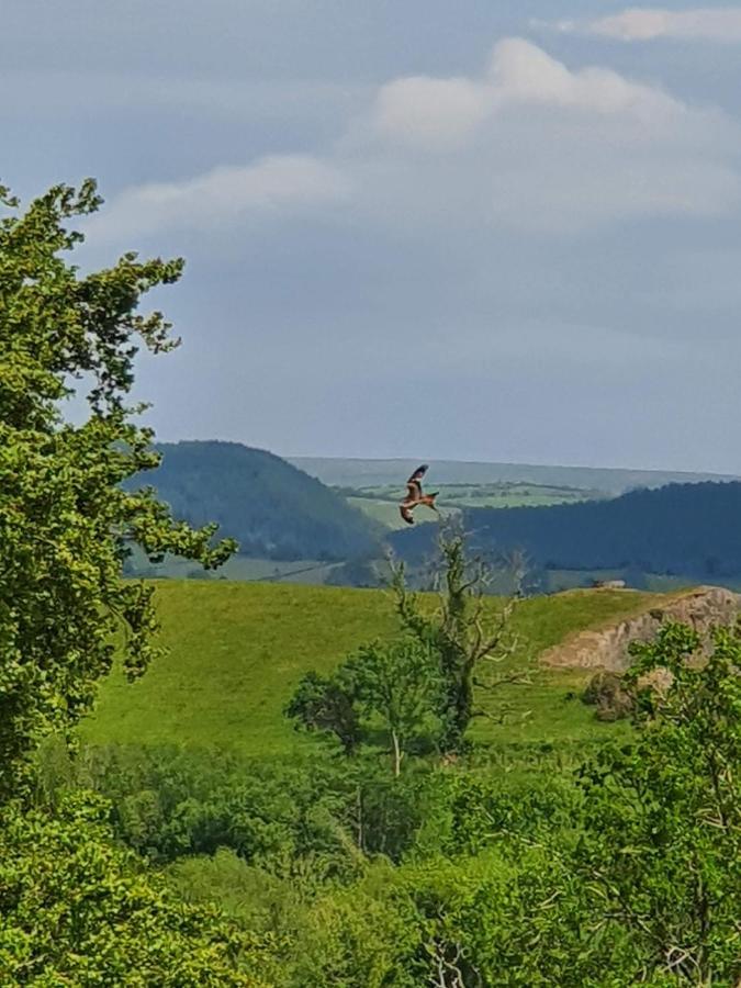 Calon Y Goedwig Glamping Hotel Ландоувъри Екстериор снимка