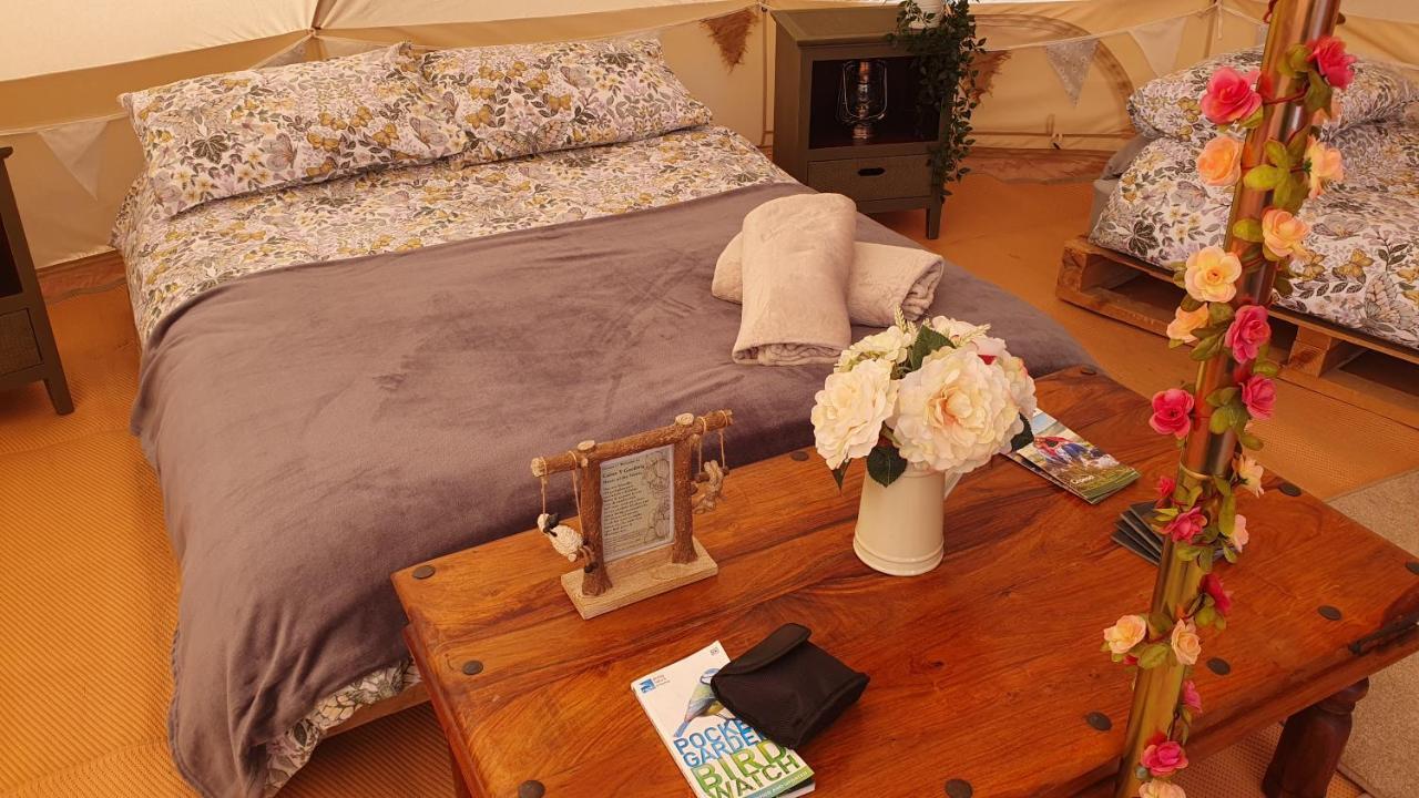 Calon Y Goedwig Glamping Hotel Ландоувъри Екстериор снимка
