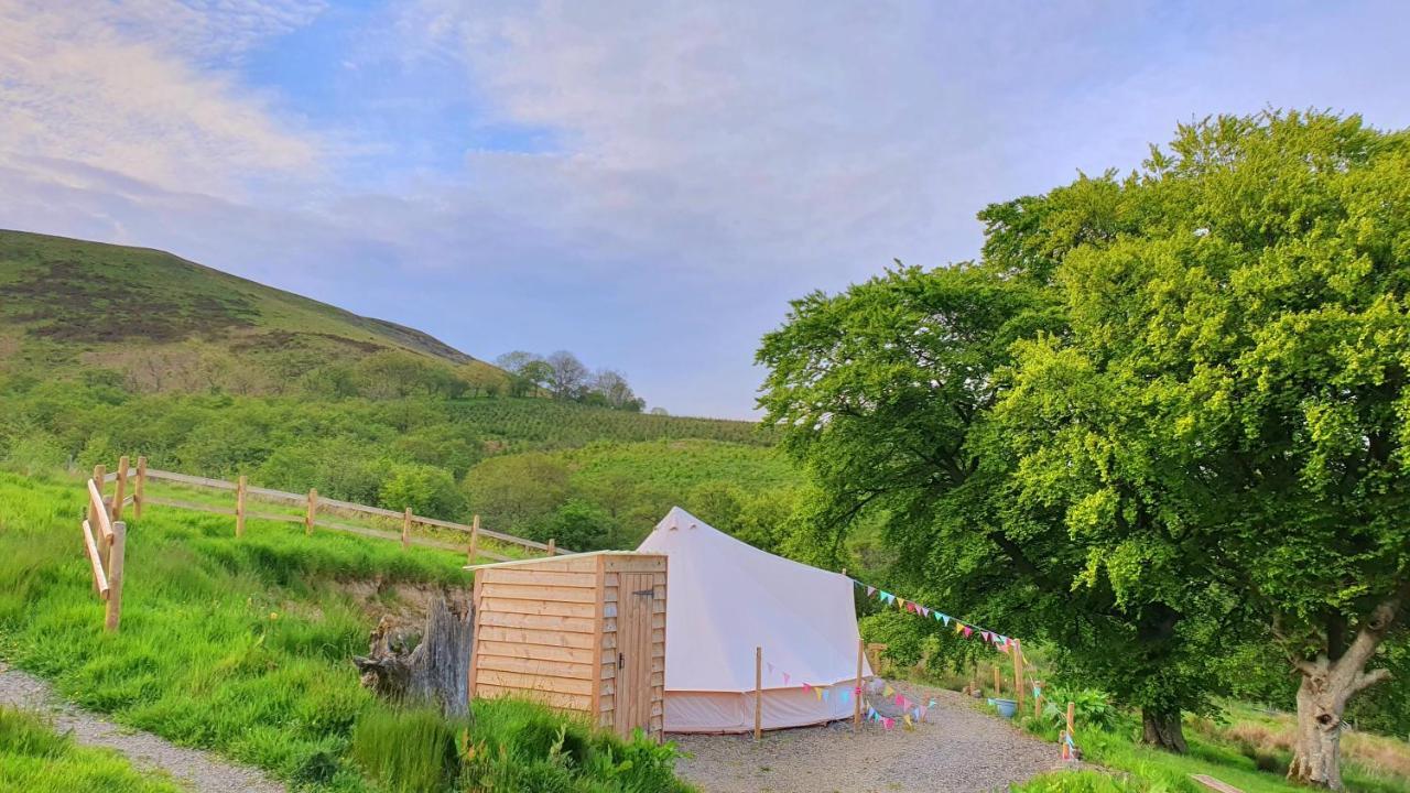 Calon Y Goedwig Glamping Hotel Ландоувъри Екстериор снимка